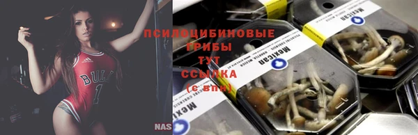 mdpv Бронницы