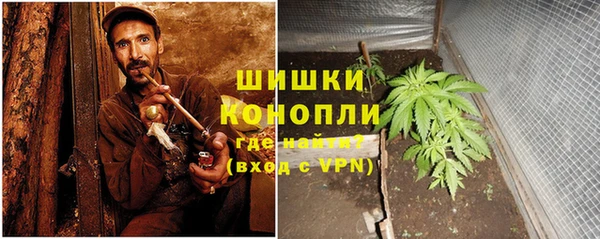 дживик Богородск
