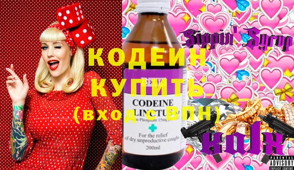 дживик Богородск