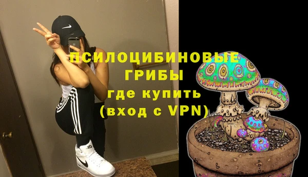 твердый Бородино