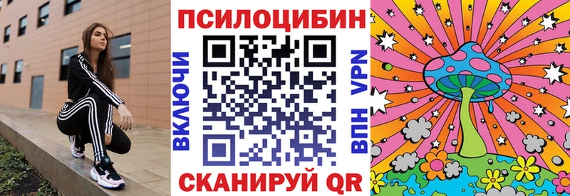 Псилоцибиновые грибы Cubensis  продажа наркотиков  Новый Уренгой 